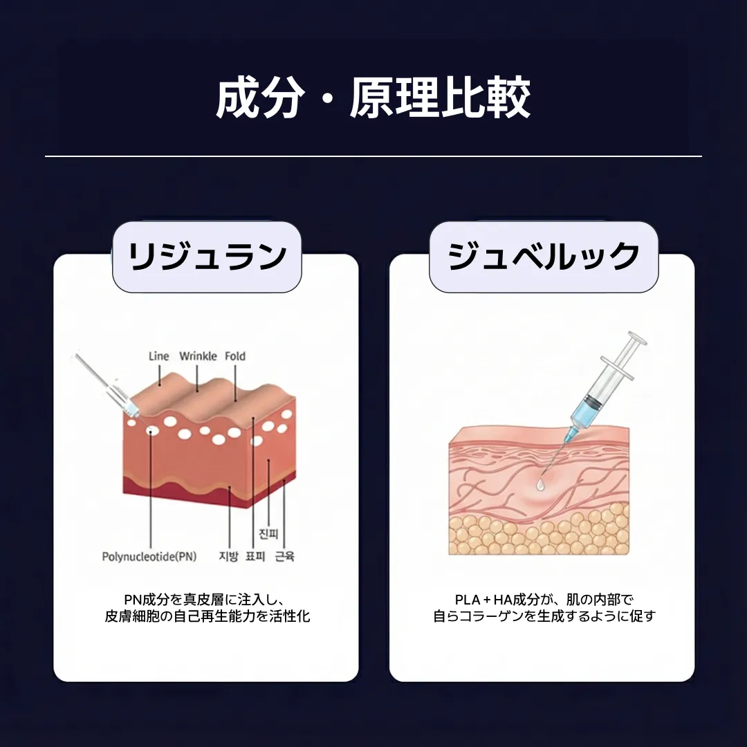 리쥬란쥬베룩차이 원리 비교.webp