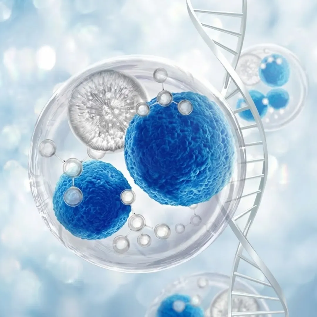 줄기세포 정의-1.webp