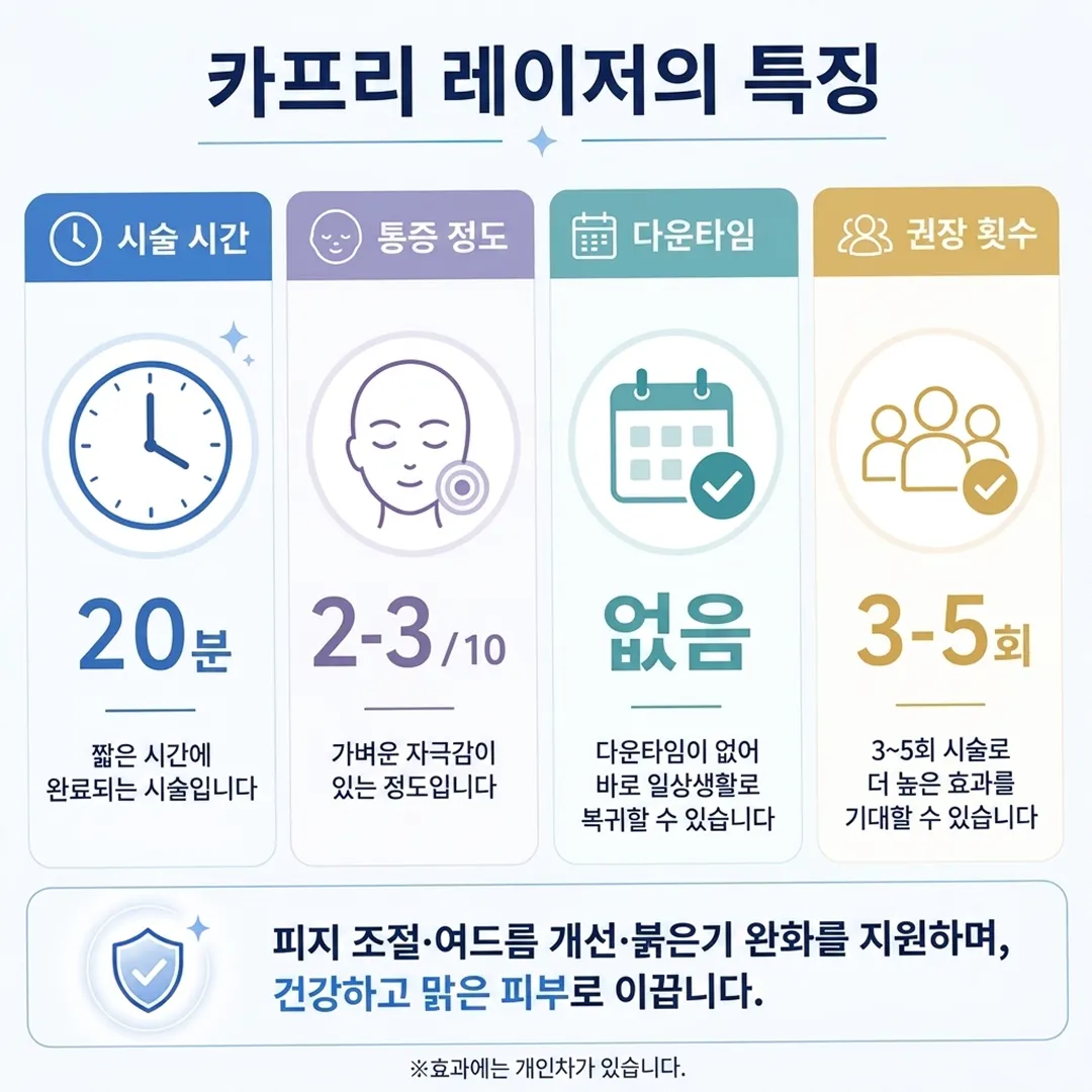 카프리 레이저 특징.webp