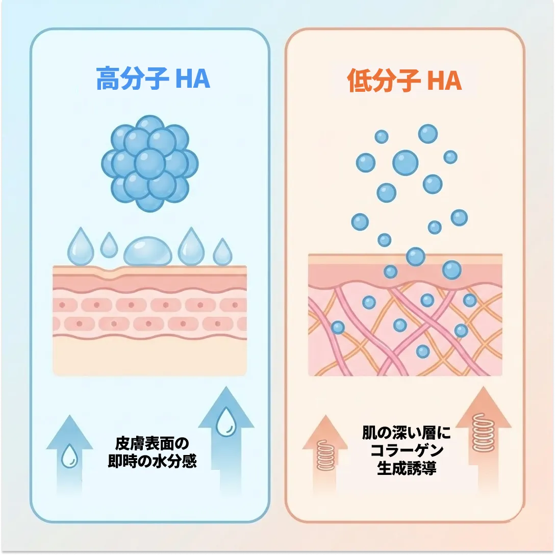 힐로웨이브 성분-3.webp
