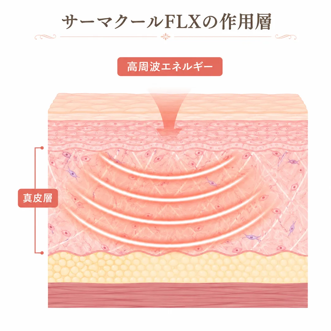 サーマクールFLXの作用層.webp