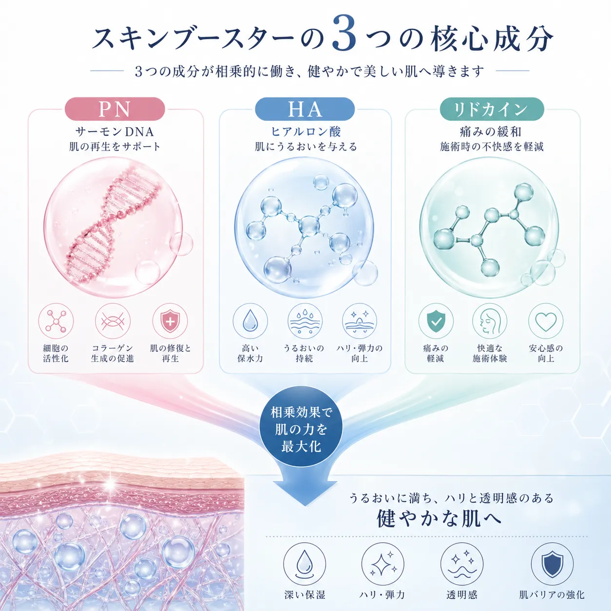 リジュランHB Plusの3大成分シナジー.webp