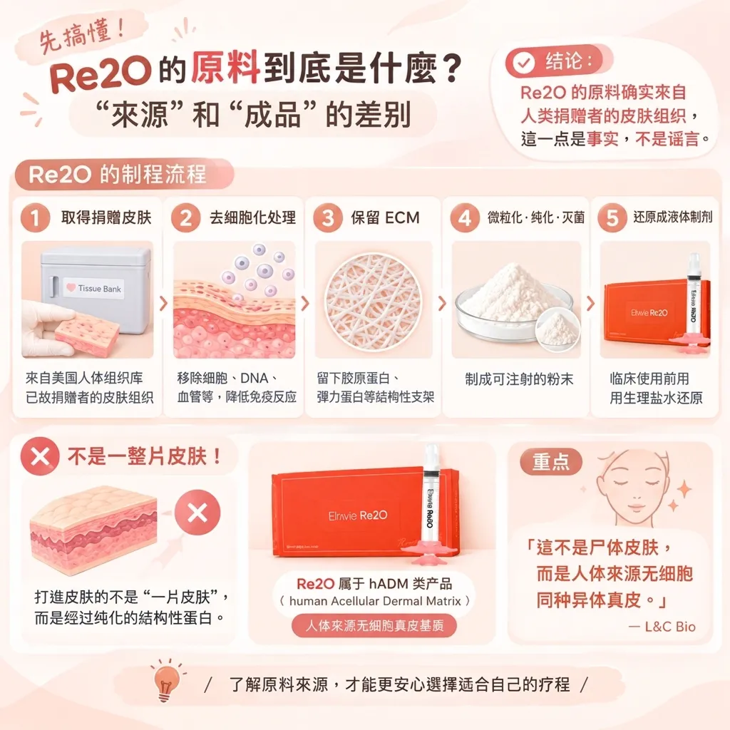 Re2O去细胞化处理流程示意图,揭示其原料来源与制备过程