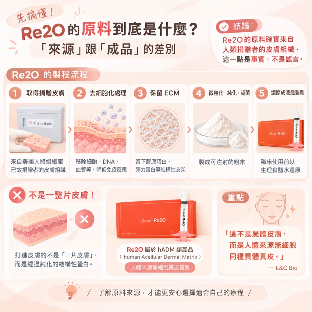 捐贈皮膚去細胞化處理流程示意-re2o-decellularization-process-seyeclinic.webp.webp