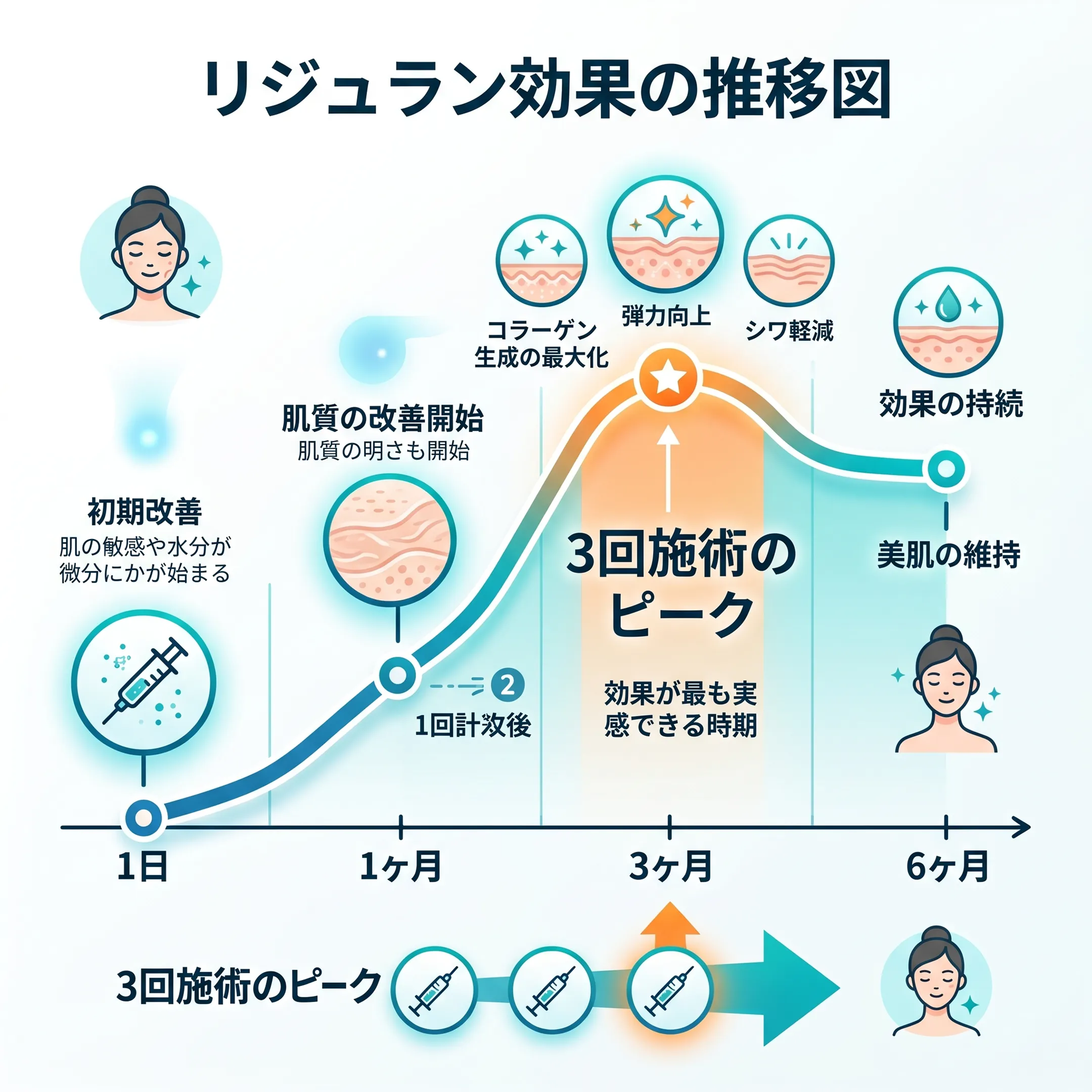 期待できる効果・時期・維持期間.webp