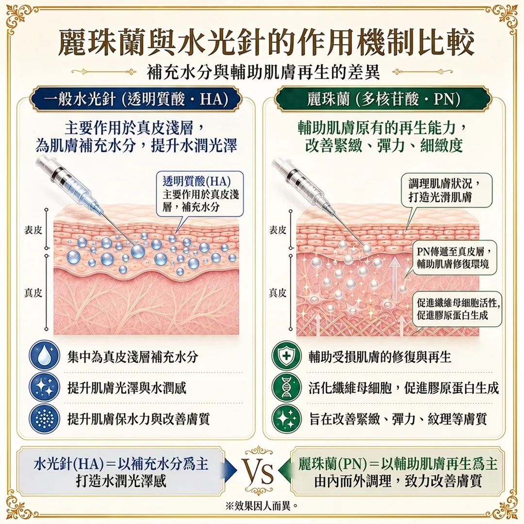 比較-透明质酸-HA-麗珠蘭與水光針的作用機制比較-補充水分與輔助肌膚再生的差異-為肌膚補充水分,提升水潤光澤-zh-tw.webp