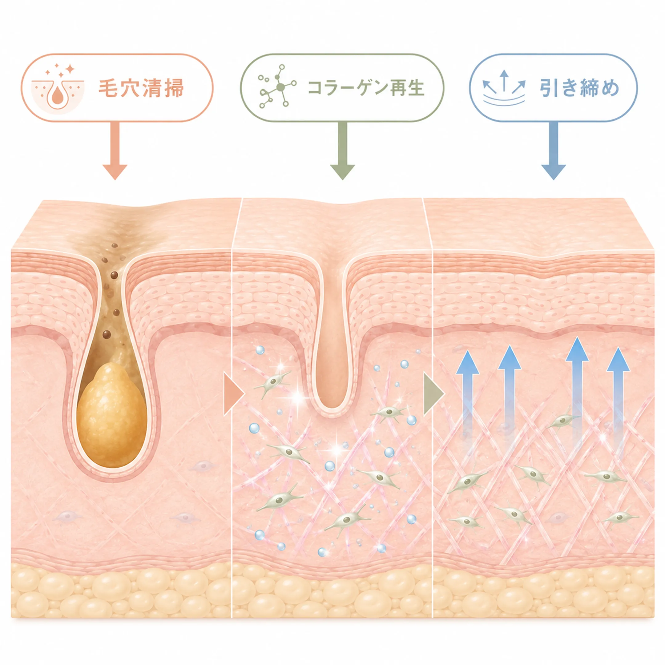 毛穴縮小の3段階メカニズム.webp