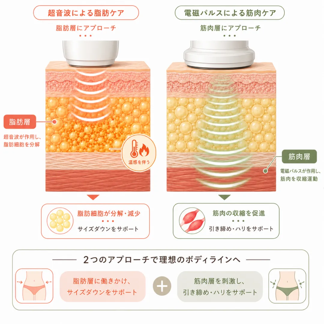 江南美容皮膚科_チューンボディの超音波とコアスカルプトの電磁場エネルギーの作用する層の違いを示した比較図.webp