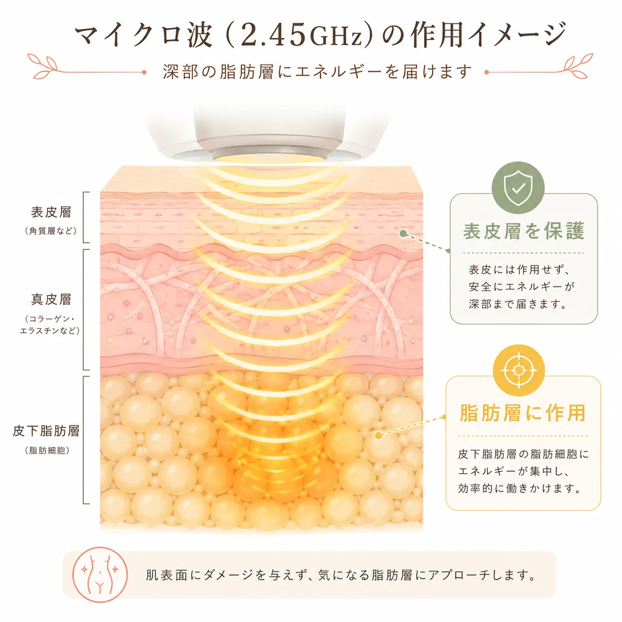 韓国美容皮膚科_オンダボディの極超短波メカニズム.webp