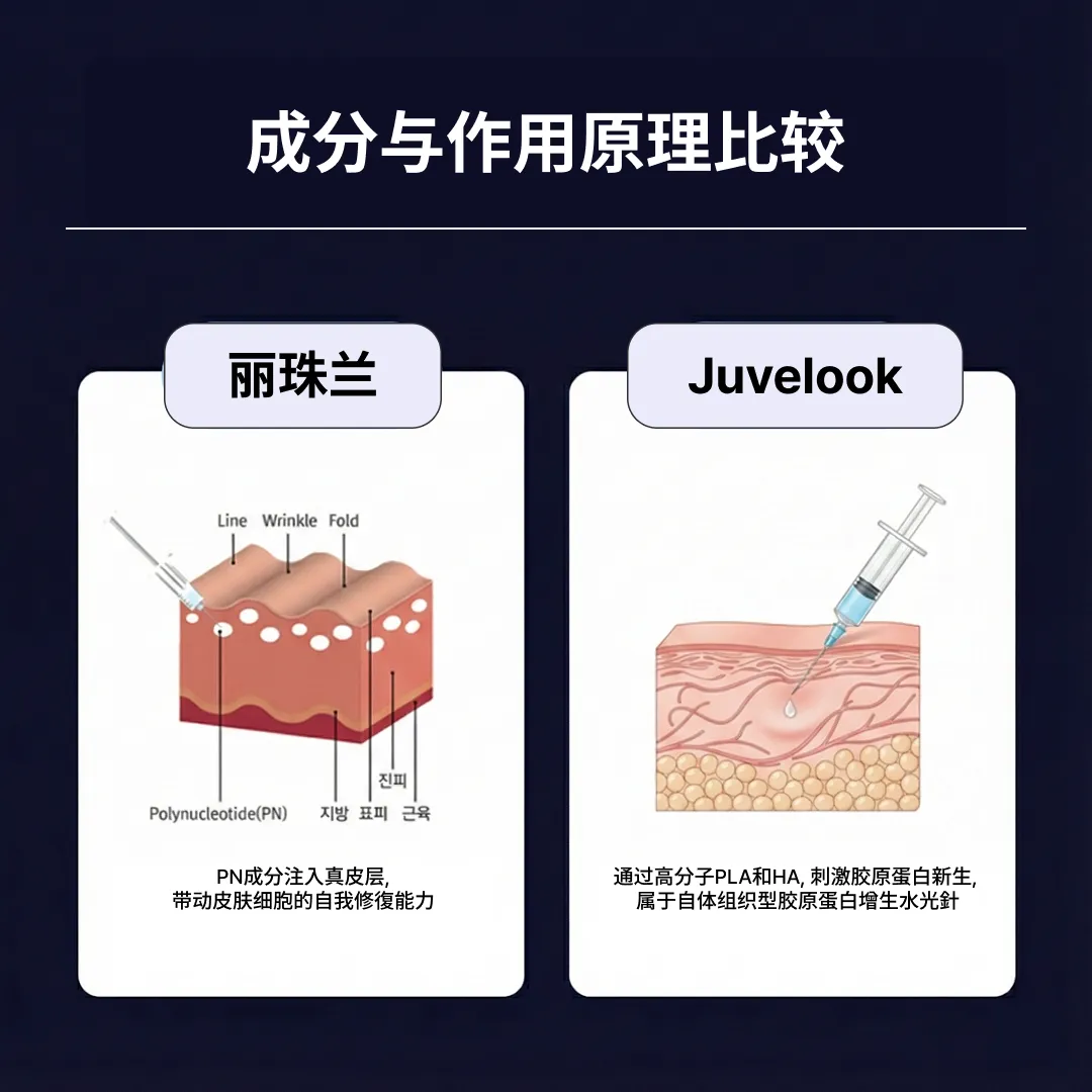 리쥬란쥬베룩차이-원리-비교간체.webp
