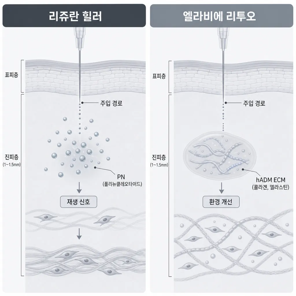 리쥬란-리투오-작용-원리-비교.webp