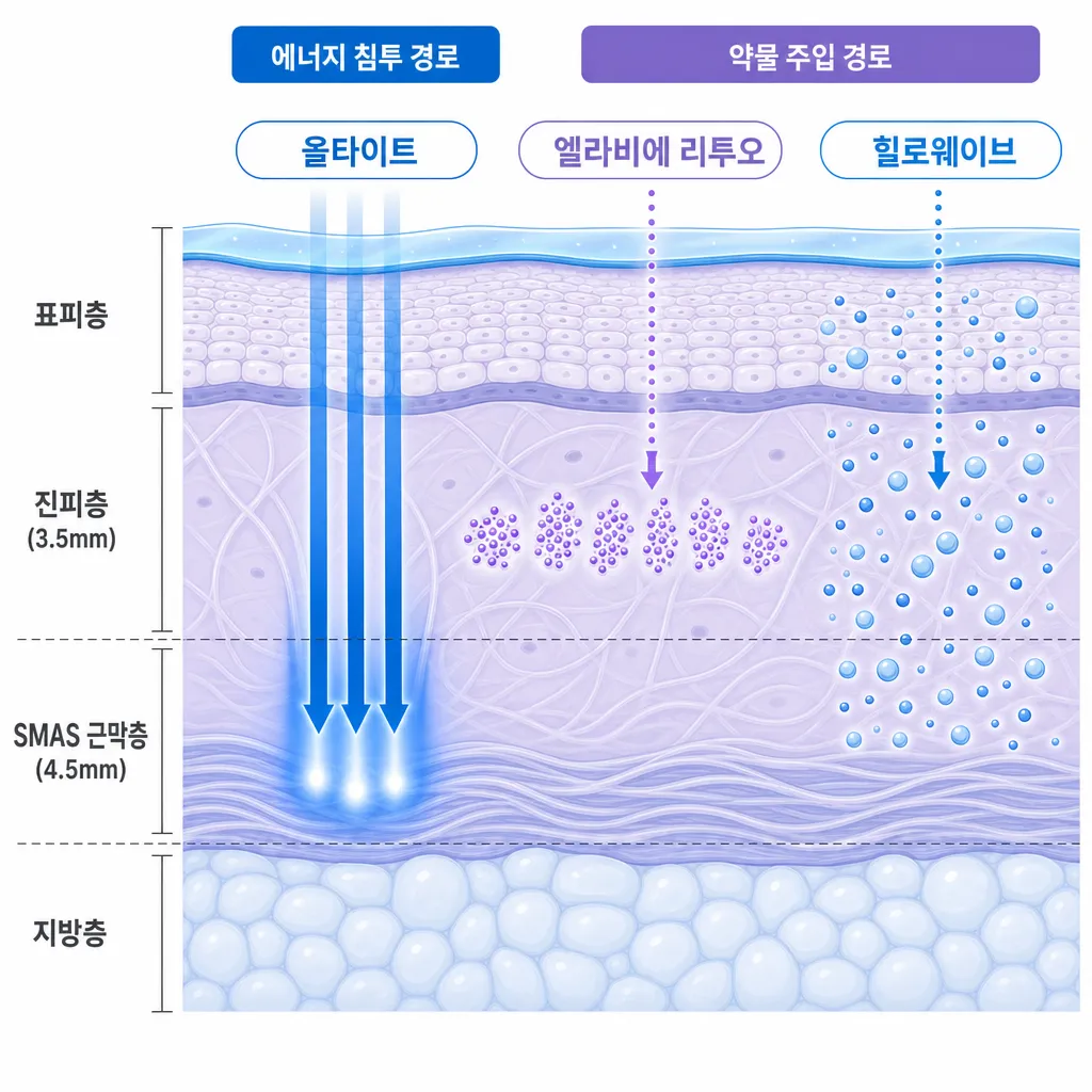 올타이트-리투오-힐로웨이브-피부층-작용-원리.webp