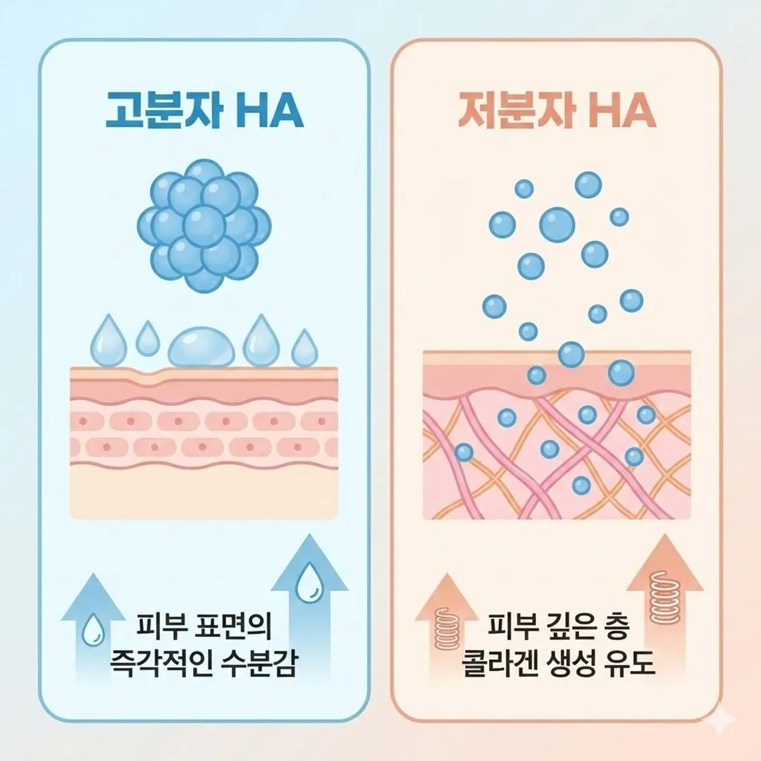 힐로웨이브 성분.webp