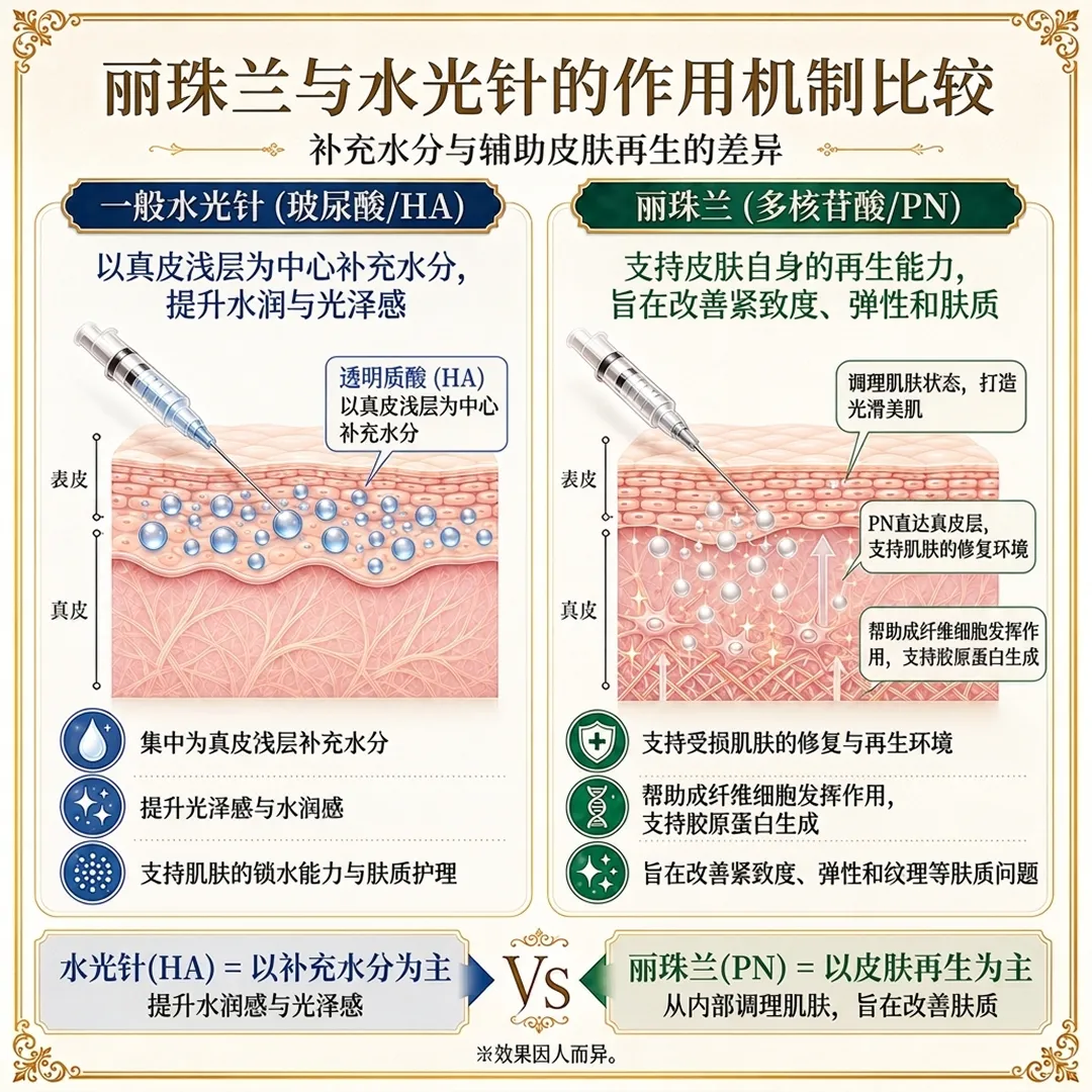 1透明质酸-HA-以真皮浅层为中心补充水分-一般水光针-玻尿酸-丽珠兰-多核苷酸-PN-支持皮肤自身的再生能力，旨在改善紧致度、弹性和肤质-zh-cn.webp