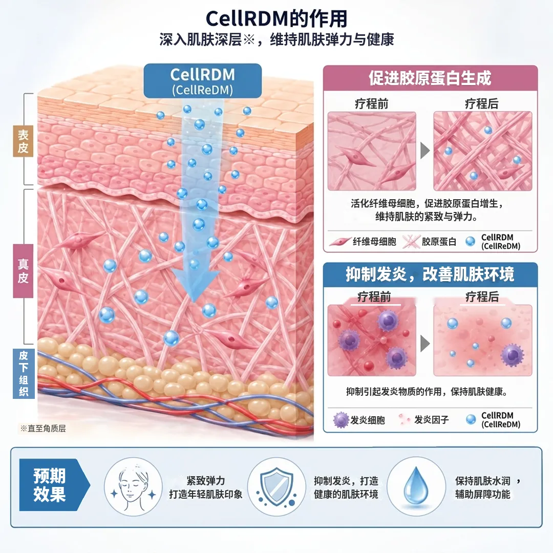 1CellRDM作用_简体中文版.webp