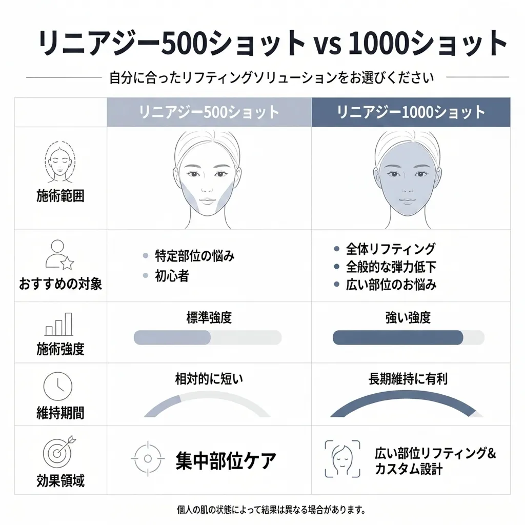 494-リニアジー500ショット-vs-1000ショット-自分に合ったリフティングソリューションをお選びください-リニアジー1000ショット-ja.webp