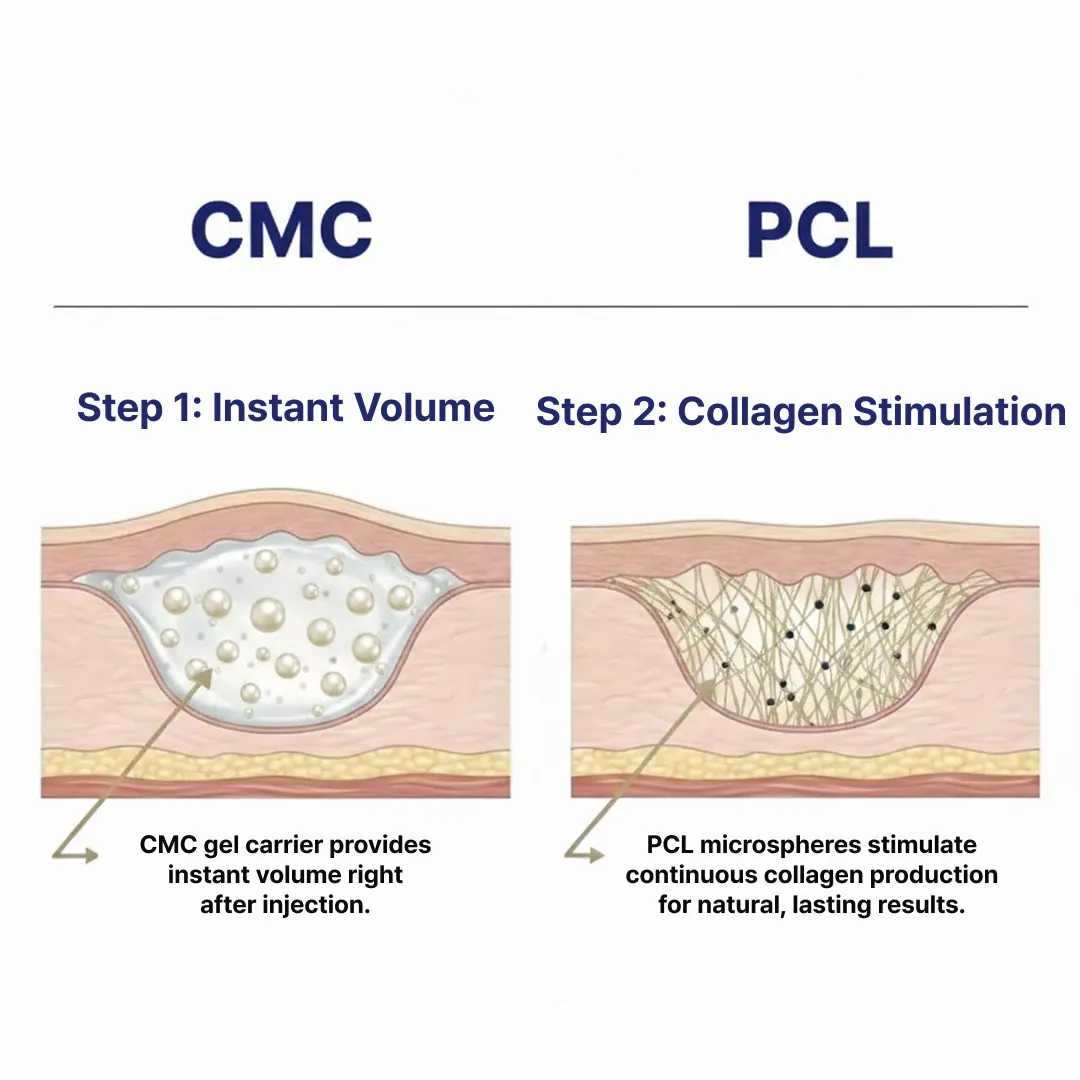 Dual-Action Mechanism.webp