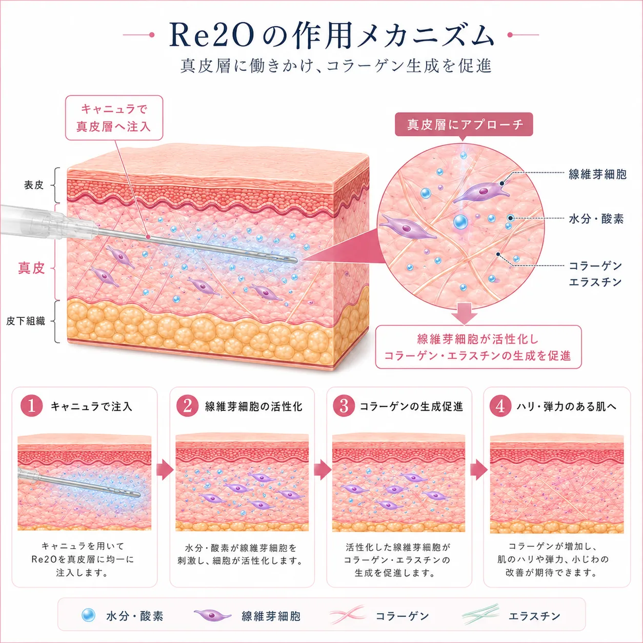 Re2O(リトゥオ)の肌再生メカニズム 1.webp