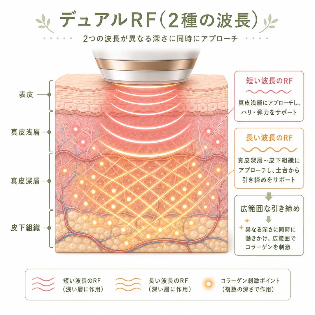XERF（ザーフ）の高周波エネルギーが皮膚組織の深層へ届きコラーゲン生成を促す断面図.webp