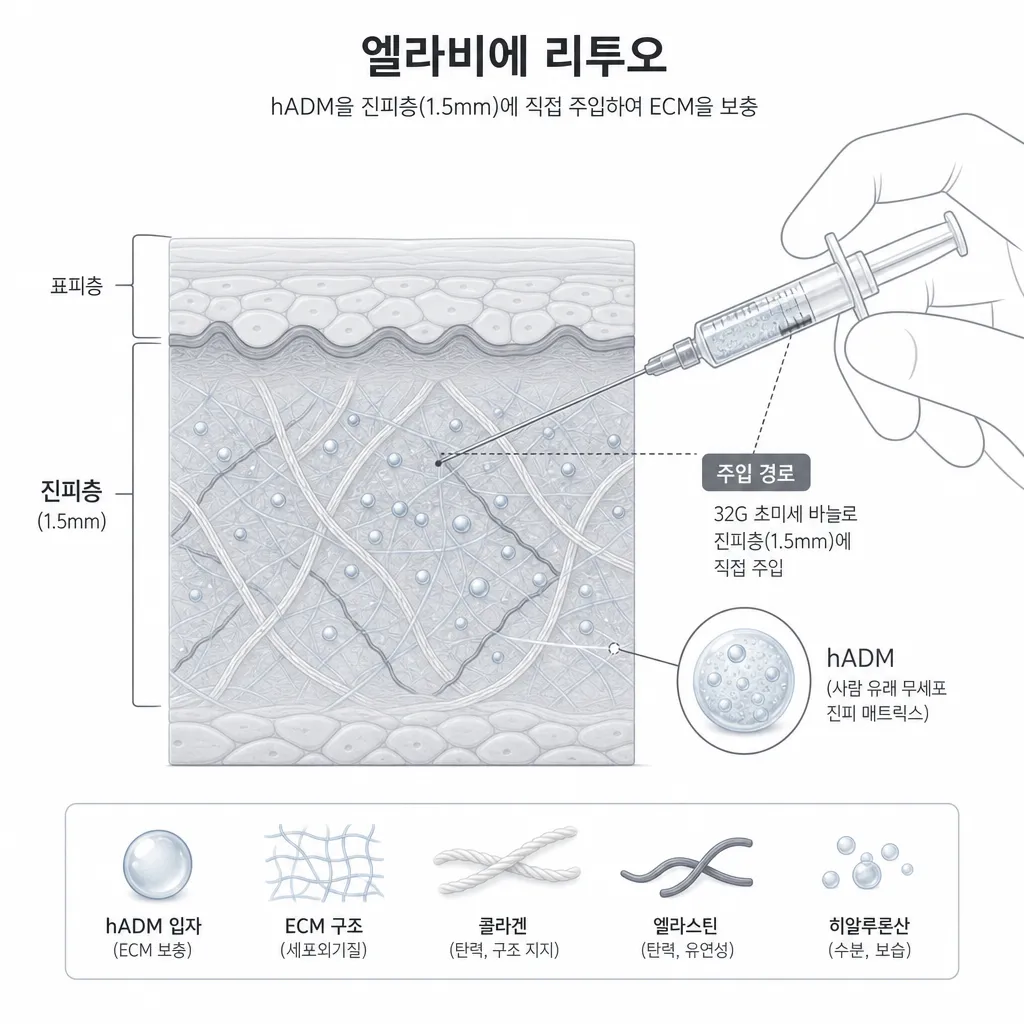 body-8.webp