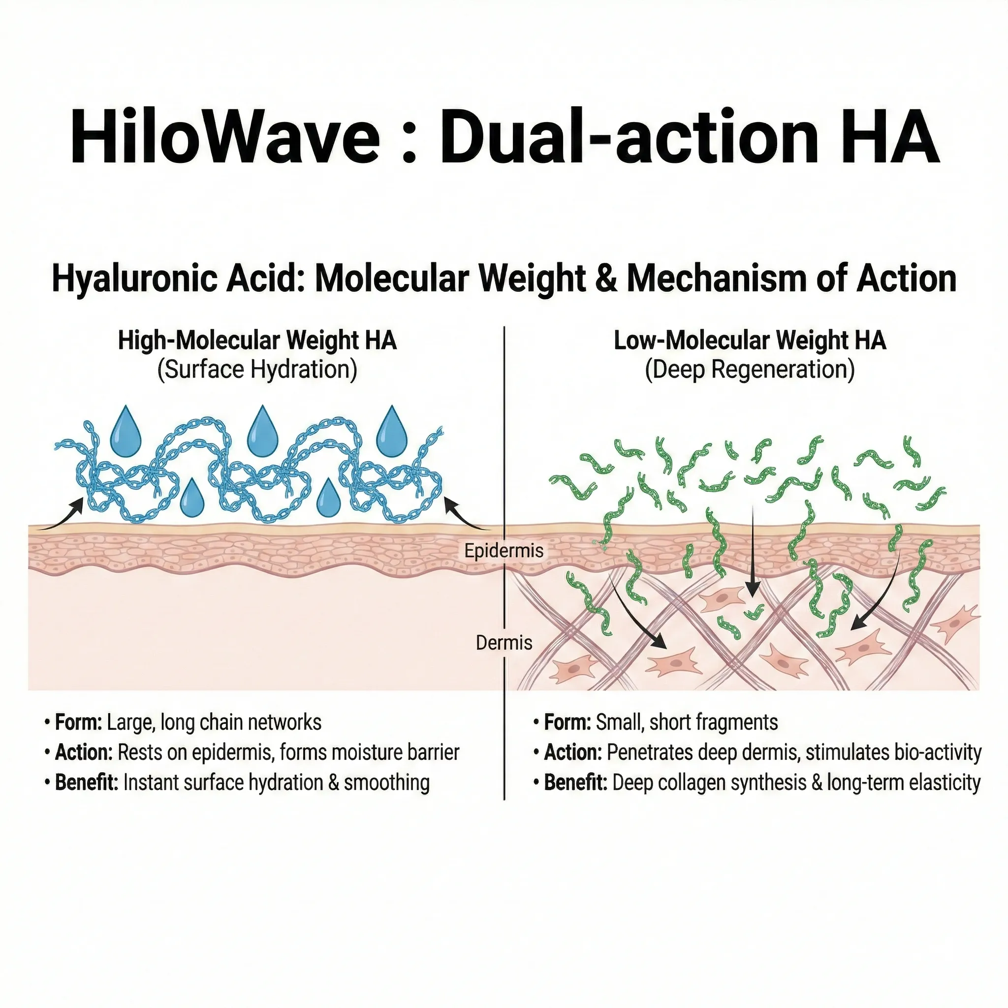 Comparison chart showing the different mechanisms of Hilo Wave and traditional fillers.