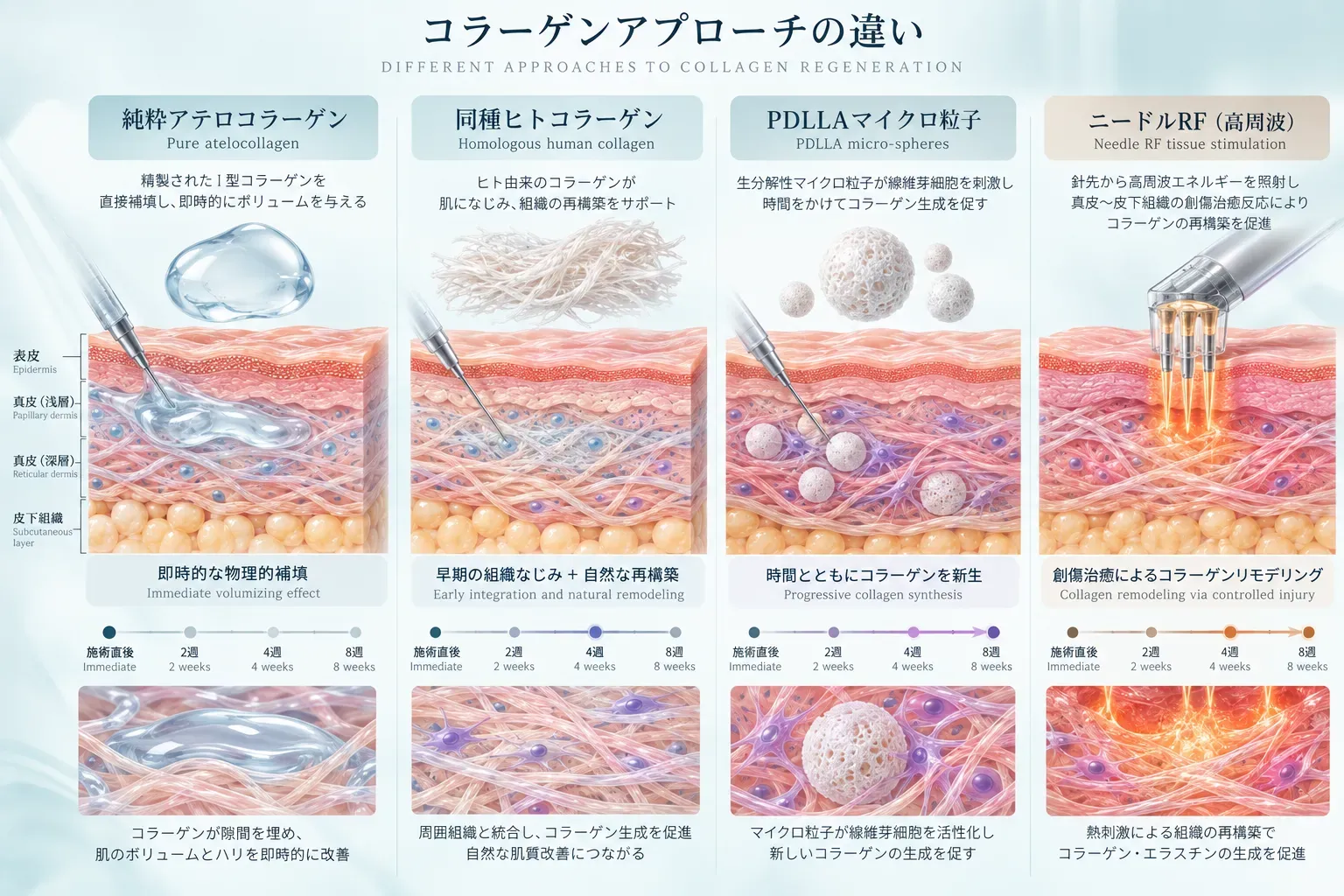 laetigen-各コラーゲン製剤の成分構造と効果発現のタイムラインを比較した-4.webp